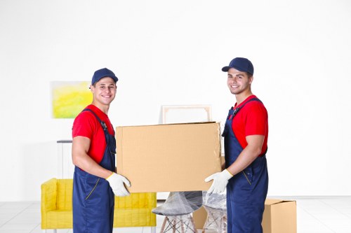 Packing boxes and furniture for a smooth Crystal Palace van move
