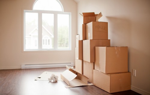 Bubble wrap, tape, and packing materials for safe packing