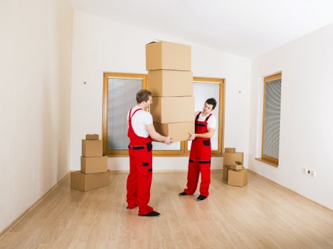 Local Crystal Palace removal van helping with household relocation